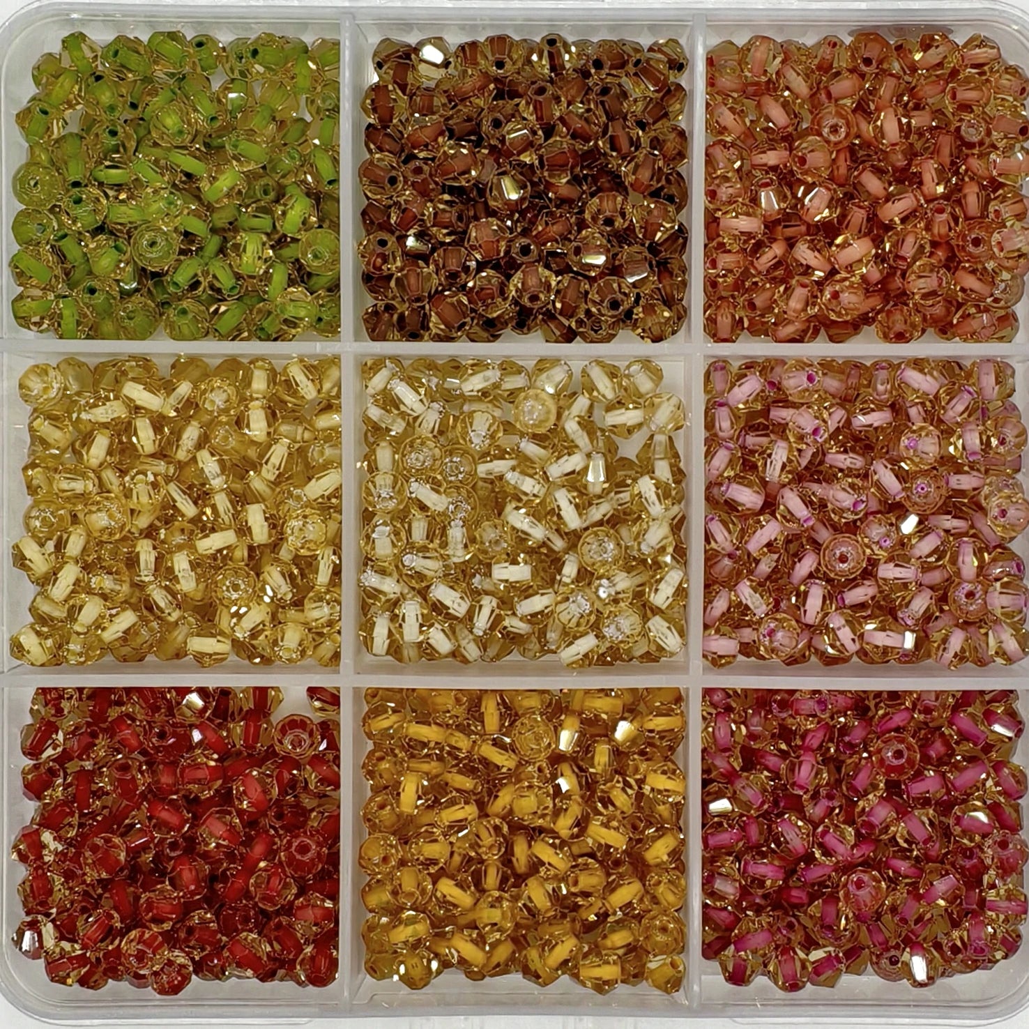 9-Grid Bead Box - Iridescent Crystal BX03 - Beadgala