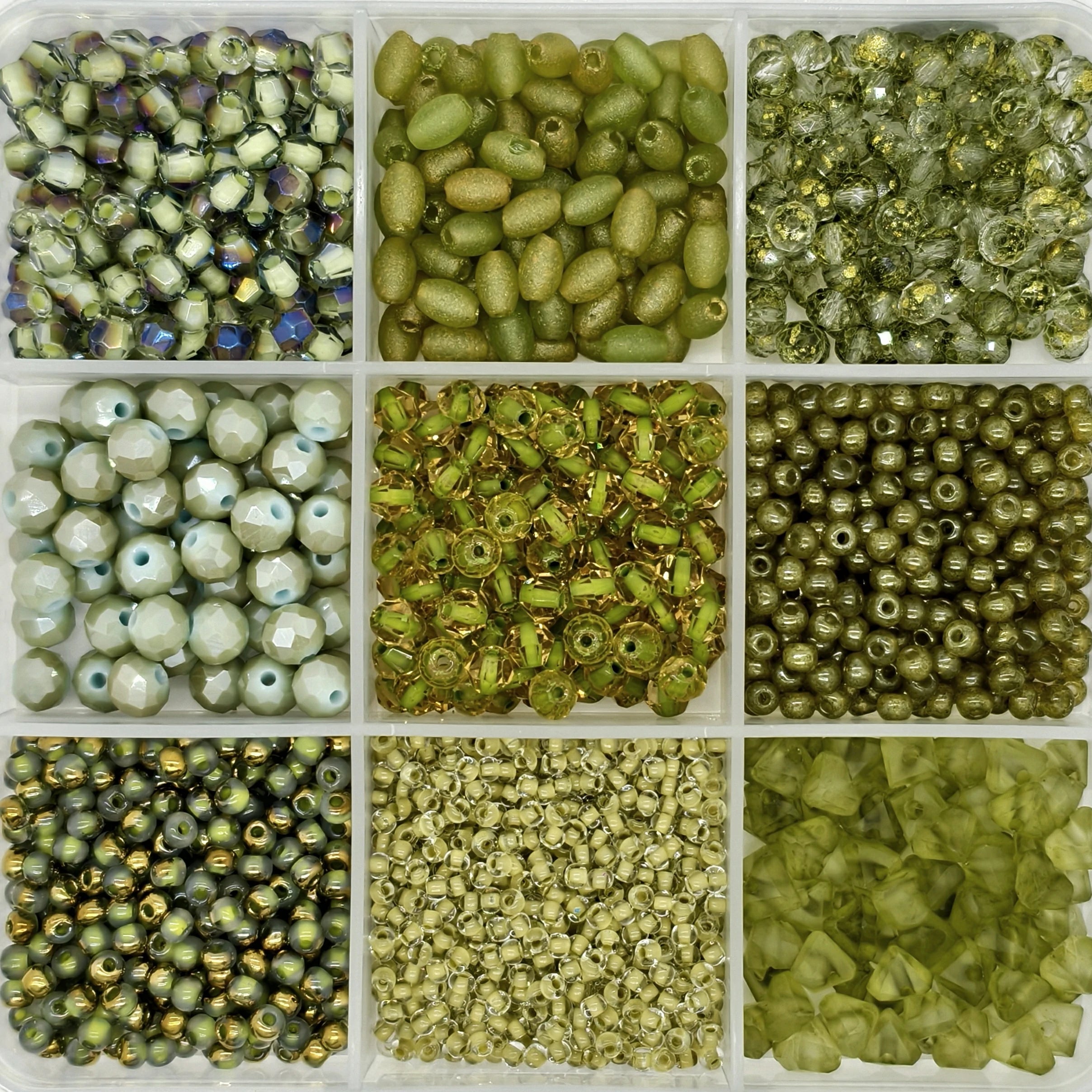 9-Grid Bead Box - Gilded Forest BX74 - Beadgala